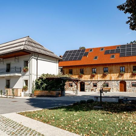 Youth Hostel Arsviva Stari Trg pri Lozu Exterior photo