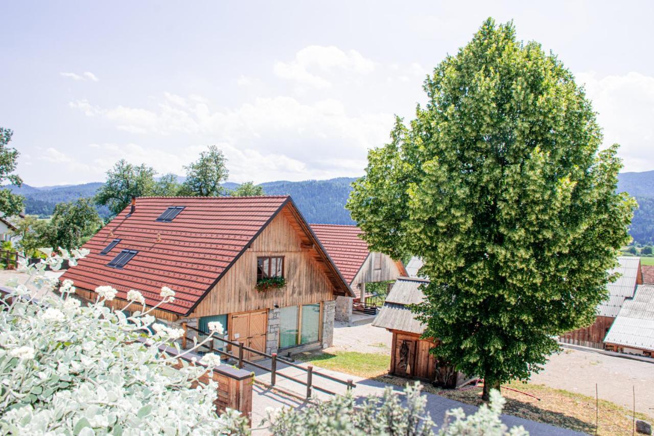Youth Hostel Arsviva Stari Trg pri Lozu Exterior photo