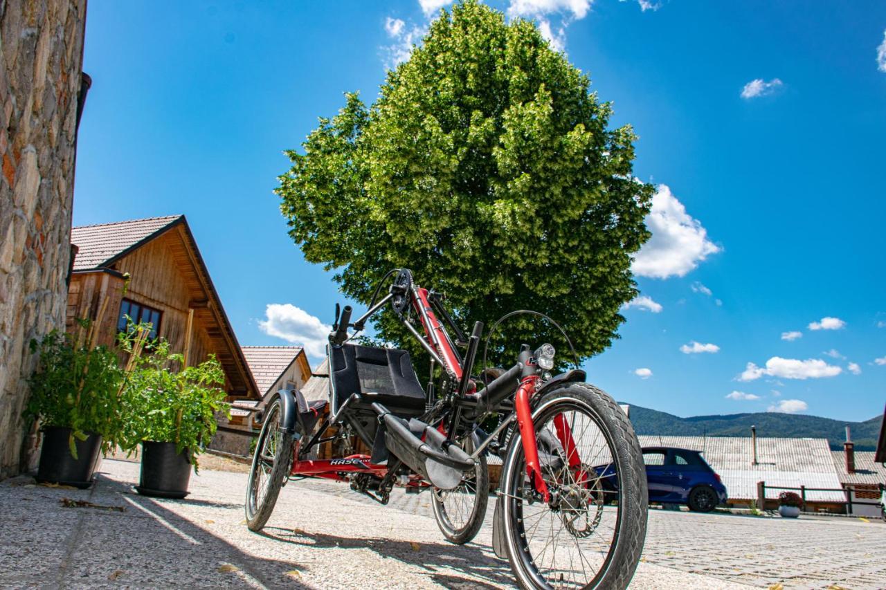 Youth Hostel Arsviva Stari Trg pri Lozu Exterior photo