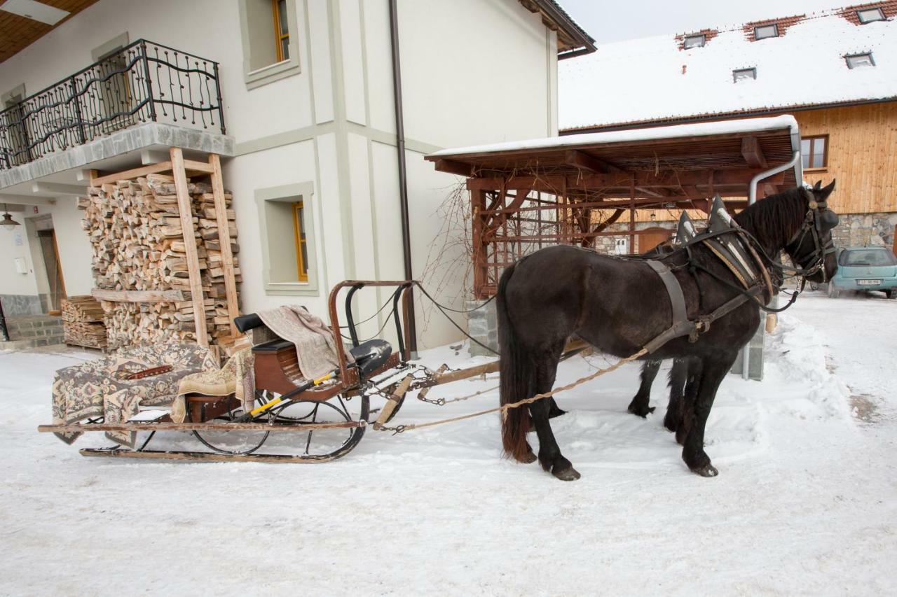 Youth Hostel Arsviva Stari Trg pri Lozu Exterior photo